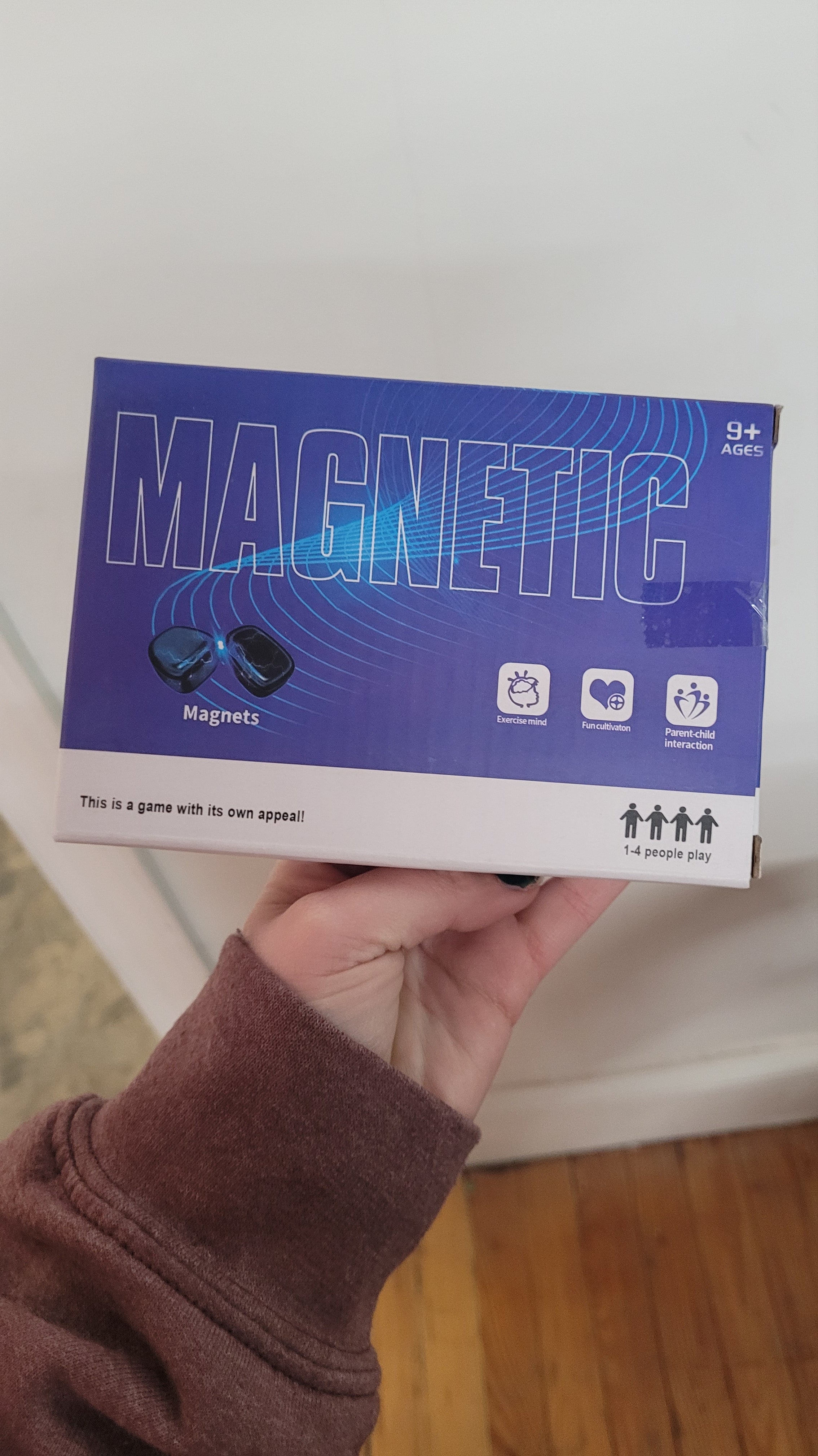 Magnetic chess