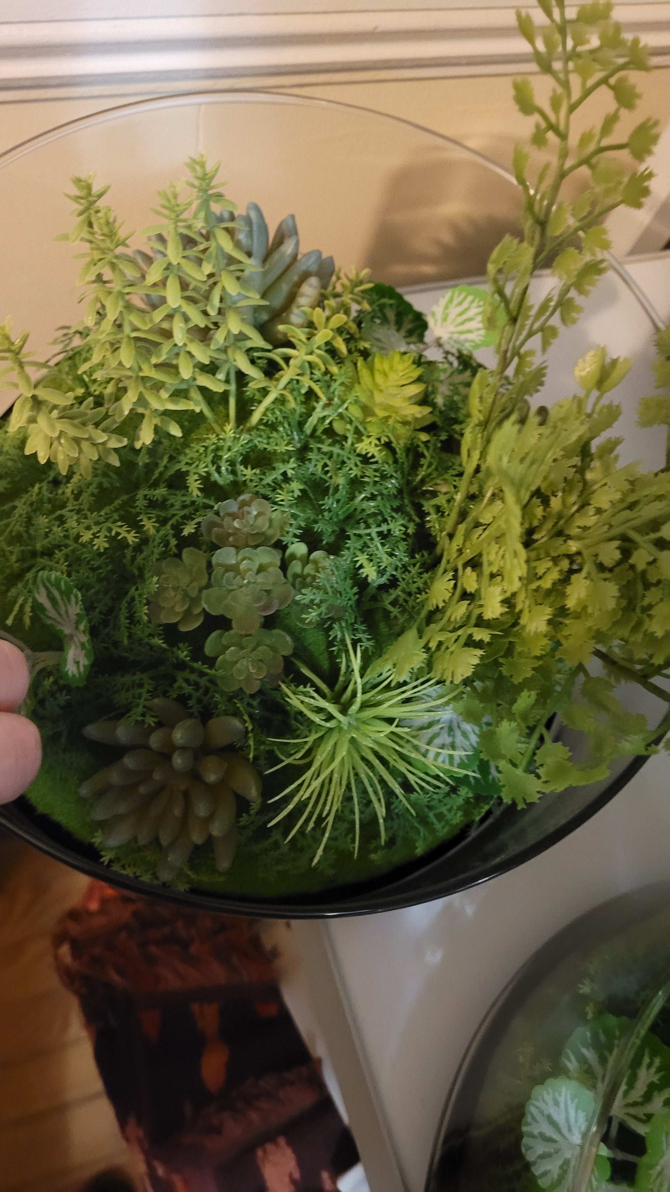 Huge plant