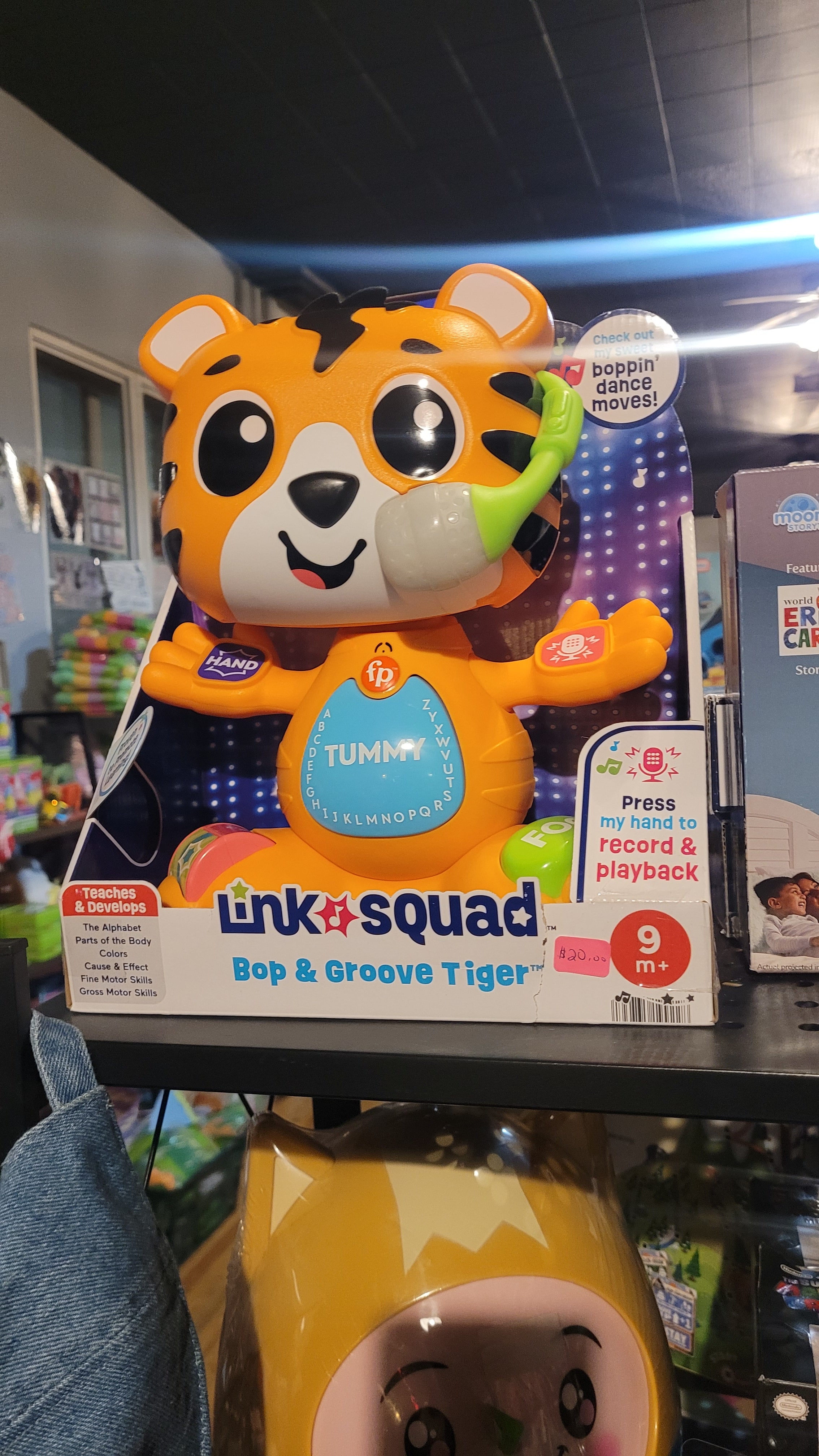 Tiger talking toy