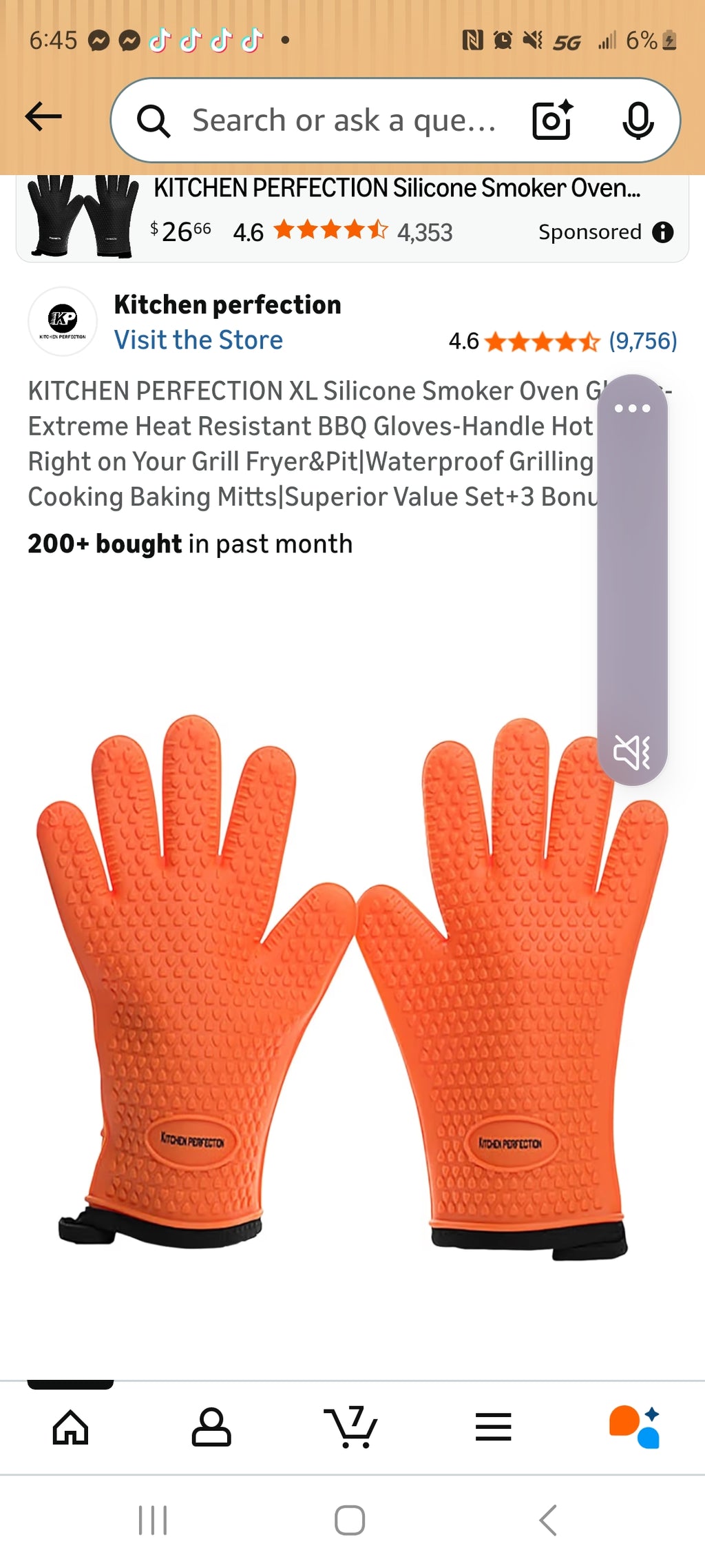 BbQ gloves