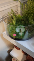 Huge plant