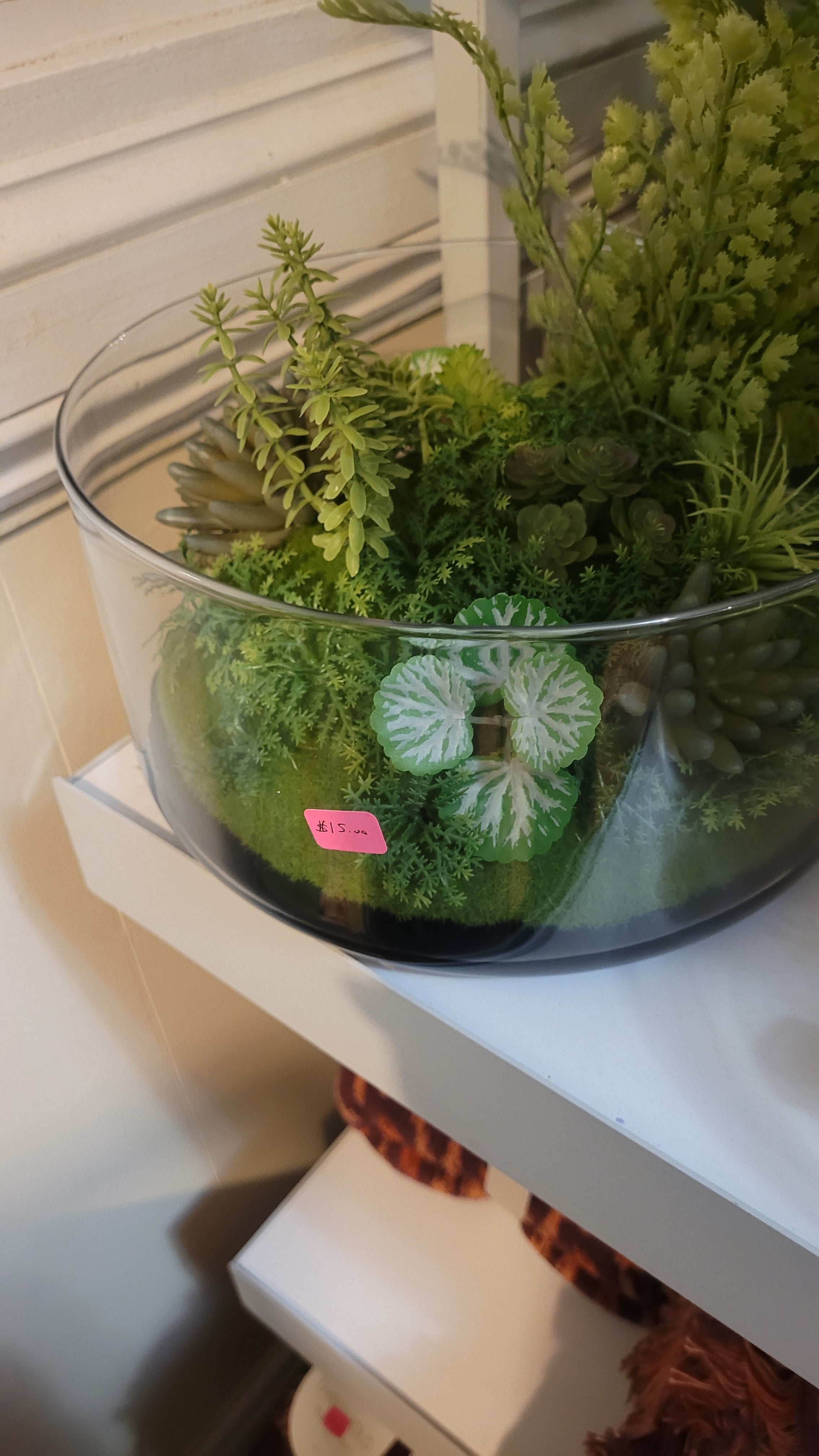 Huge plant